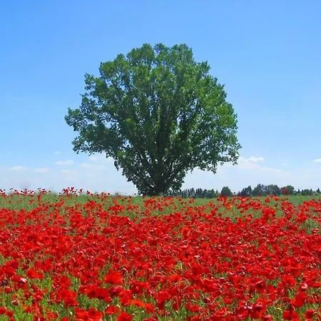 بيت للعطل Inselidylle Kunterbunt *
