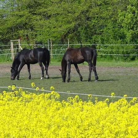 بيت للعطل Inselidylle Kunterbunt *
