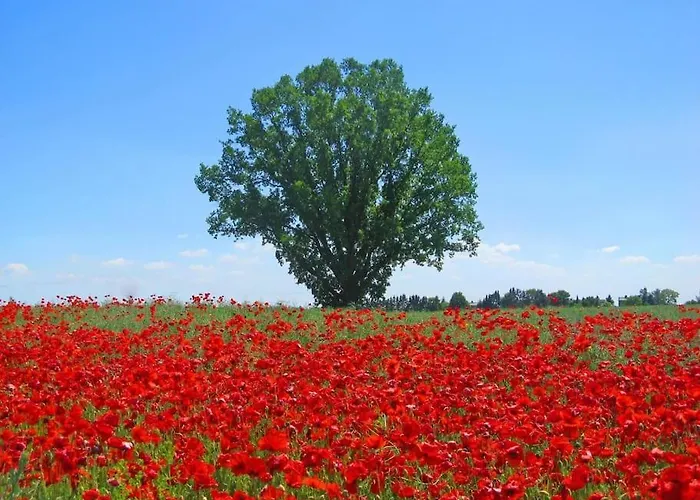 Semesterbostad Inselidylle Kunterbunt *