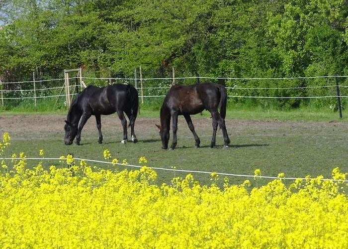 Semesterbostad Inselidylle Kunterbunt *